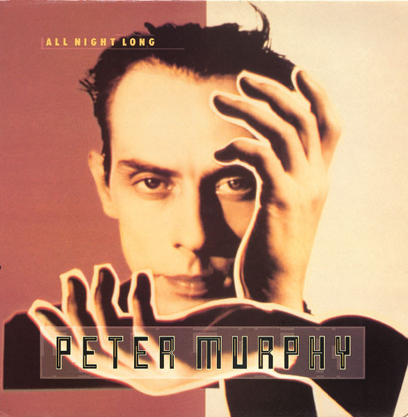 Album cover art for "All Night Long" by Peter Murphy