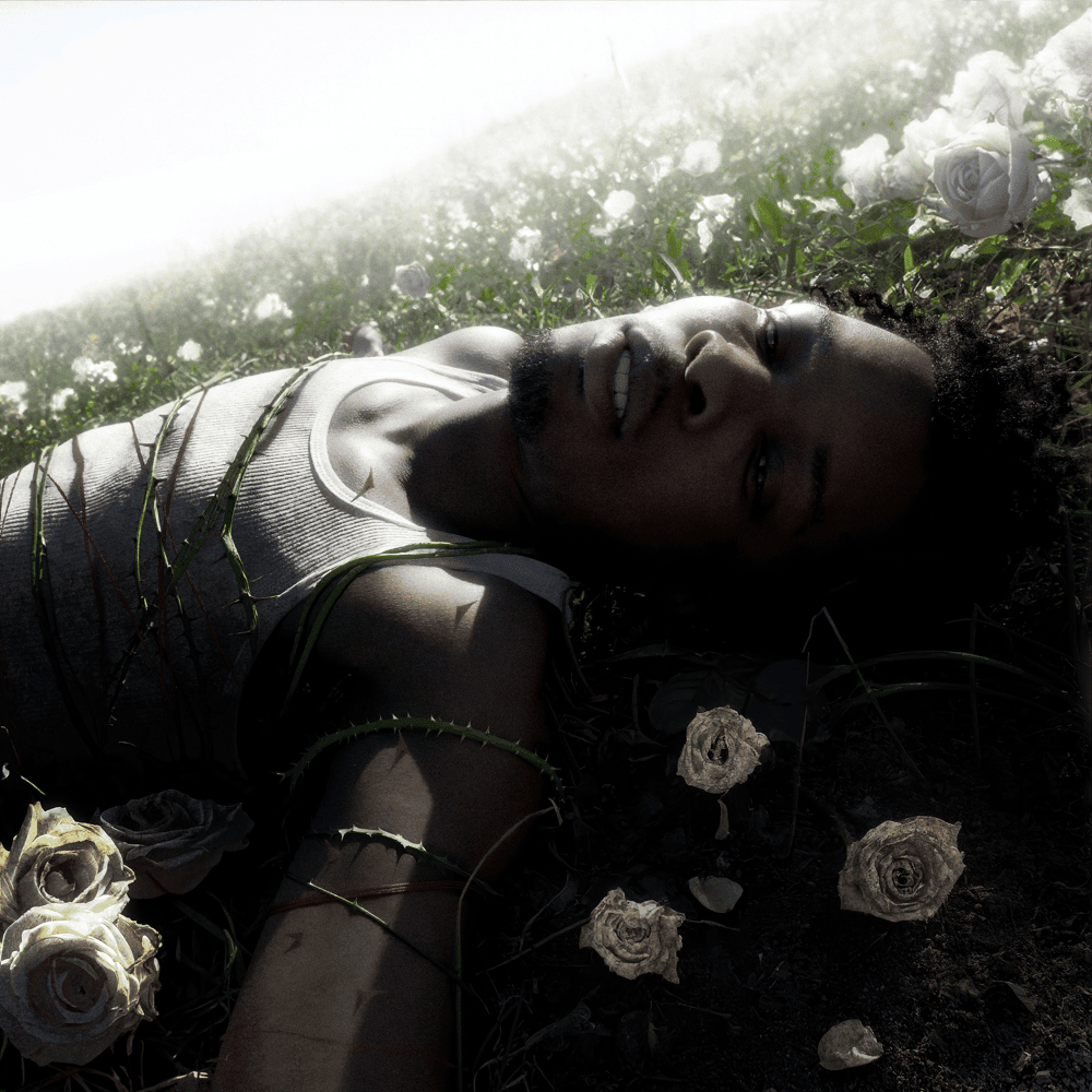 Cover image for WITHERED (Physical Version)