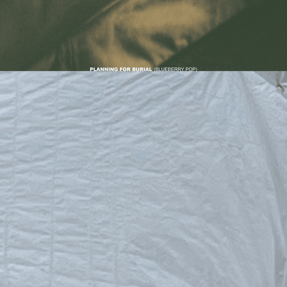 Album cover art for "(blueberry pop)" by Planning For Burial
