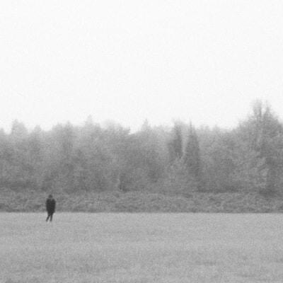 Cover image for NEGATIVE