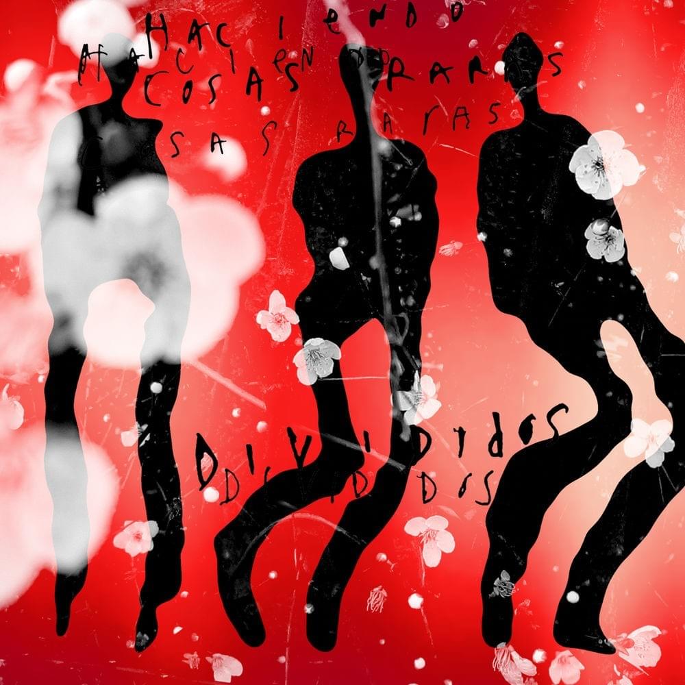 Cover image for Haciendo Cosas Raras