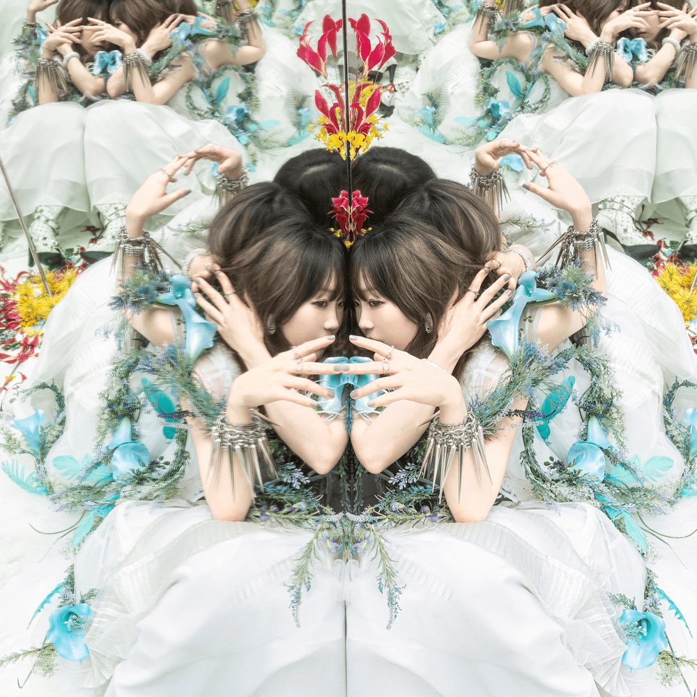 Cover image for Aimer