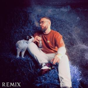 Album cover art for "Jakbym (Remix)" by ZetHa