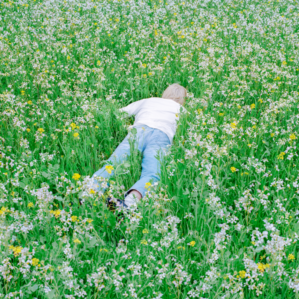 Cover image for Nurture (Japanese Edition)
