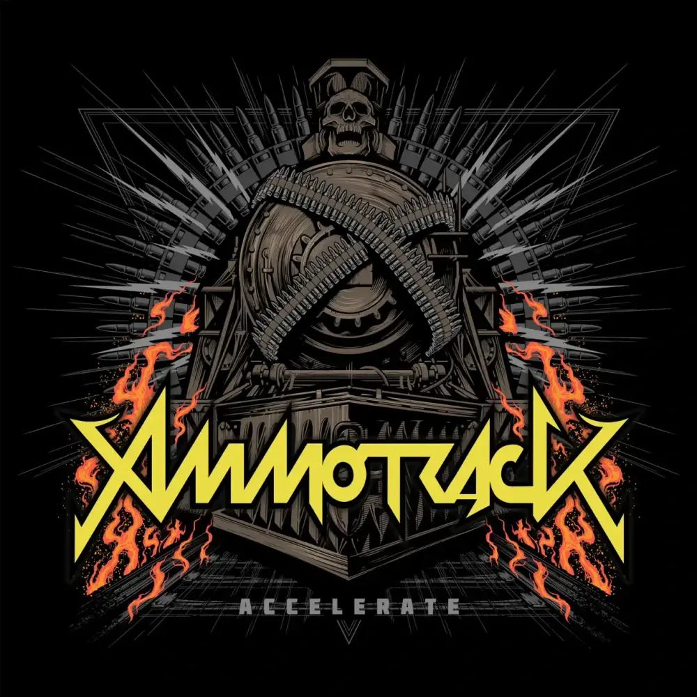 Cover image for Accelerate