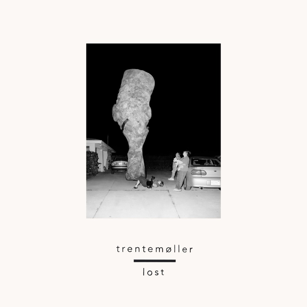 Cover image for Lost