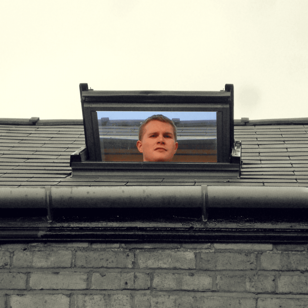 Album cover art for "House Flipper" by Dan Bull