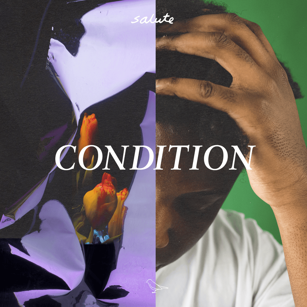 Cover image for Condition