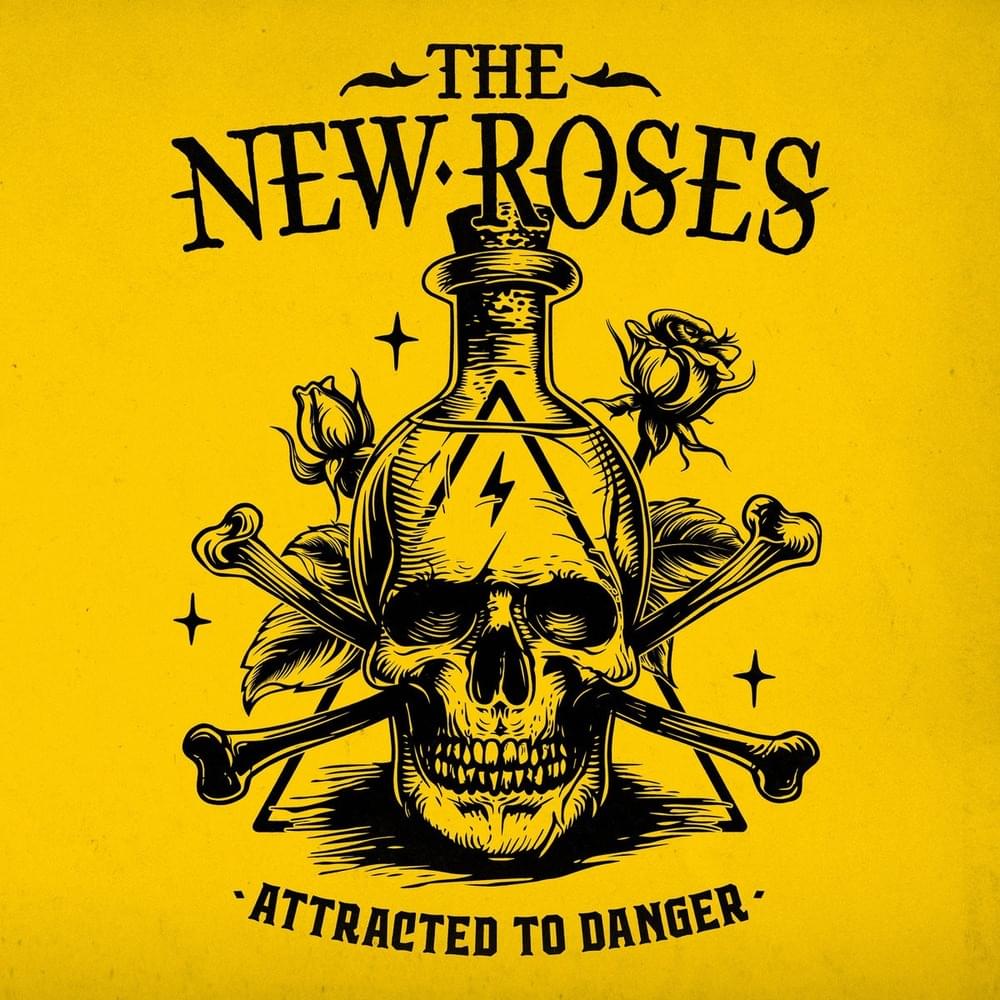 Attracted to Danger by The New Roses