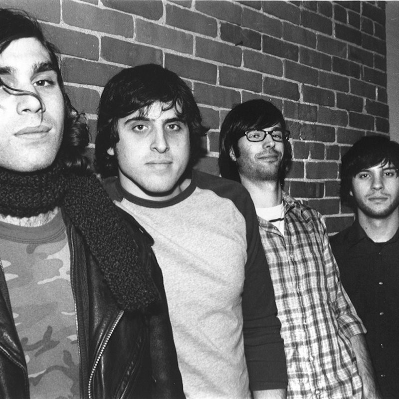 Photo of Piebald