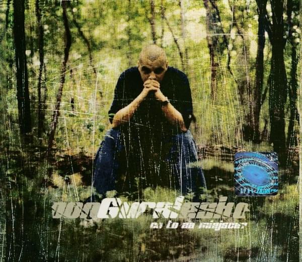 Album cover art for "Co to za miejsce?" by donGURALesko