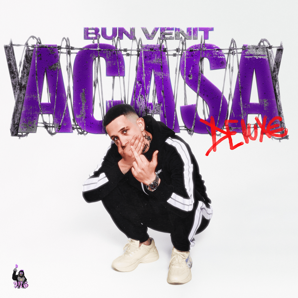 Cover image for Bun venit acasă (Deluxe)