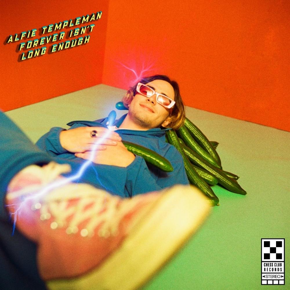 Album cover art for "Forever Isn’t Long Enough" by Alfie Templeman
