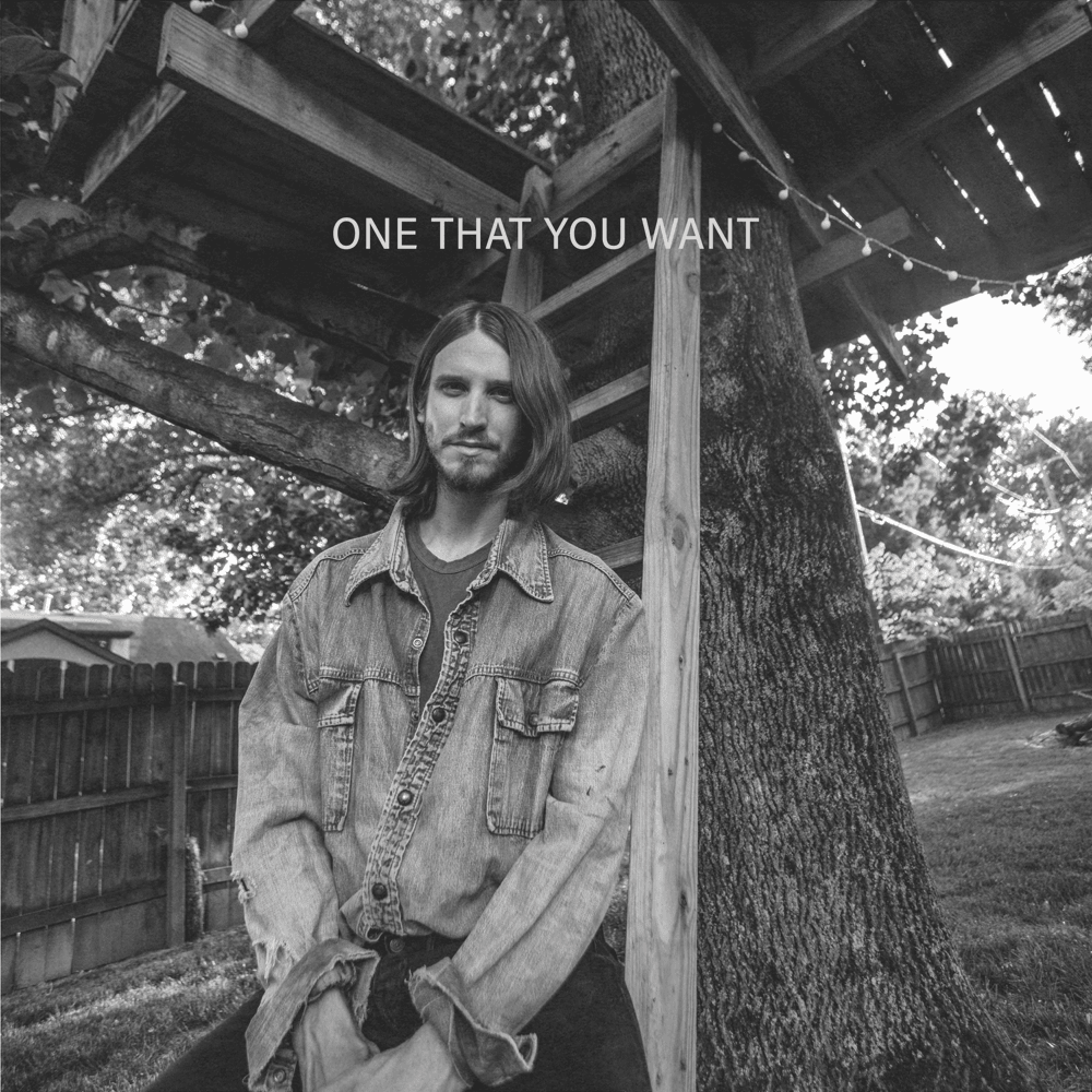 Album cover art for "One That You Want" by Troy Cartwright