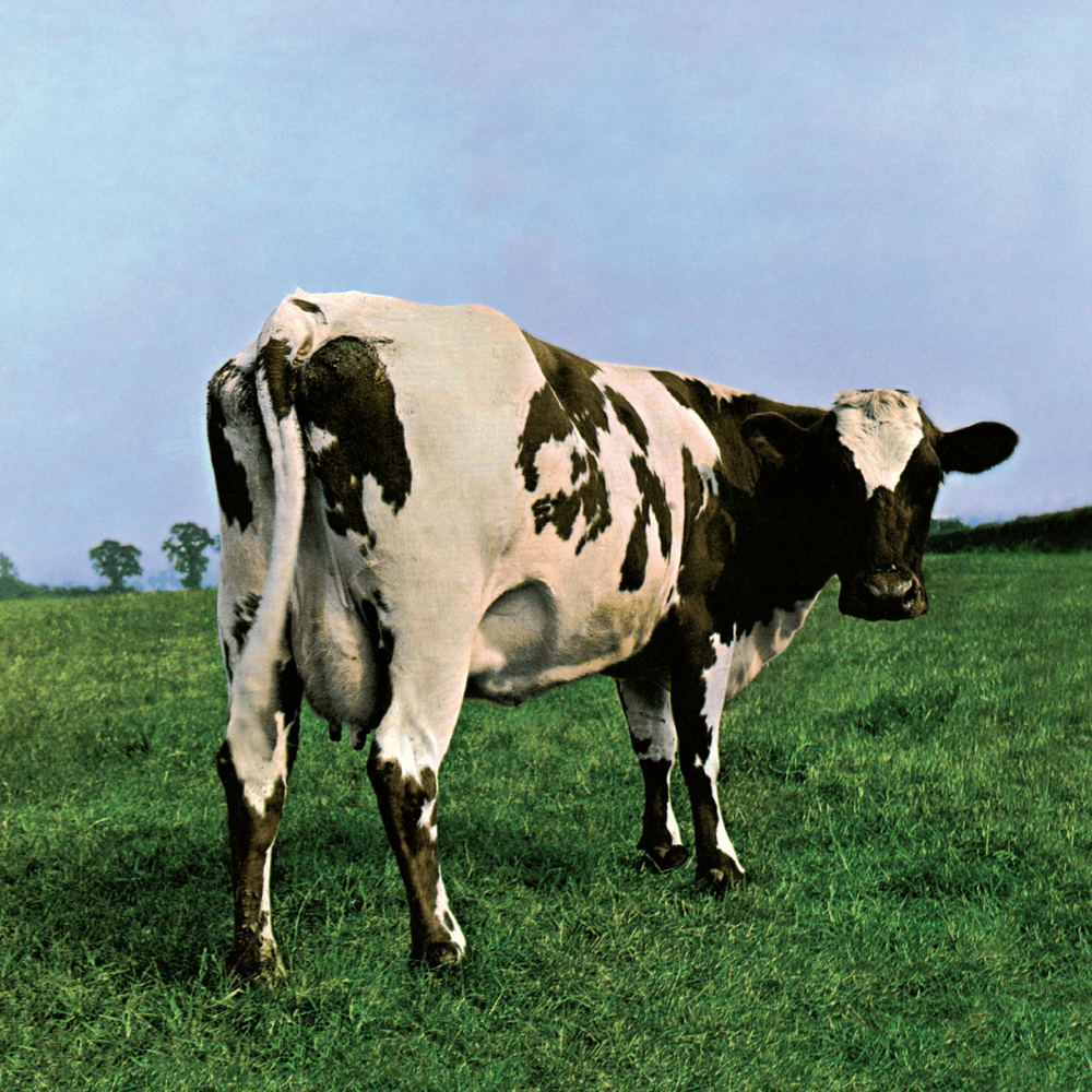 Album cover art for "If" by Pink Floyd