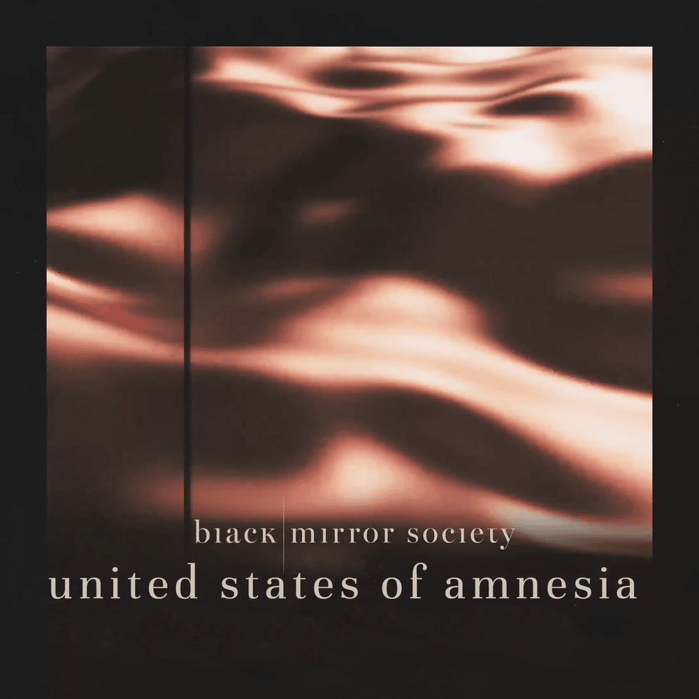 Album cover art for "United States Of Amnesia" by Phuture Noize