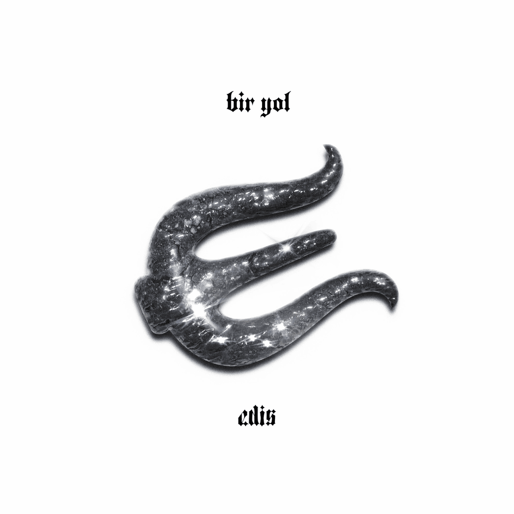 Album cover art for "Bir Yol" by EDIS