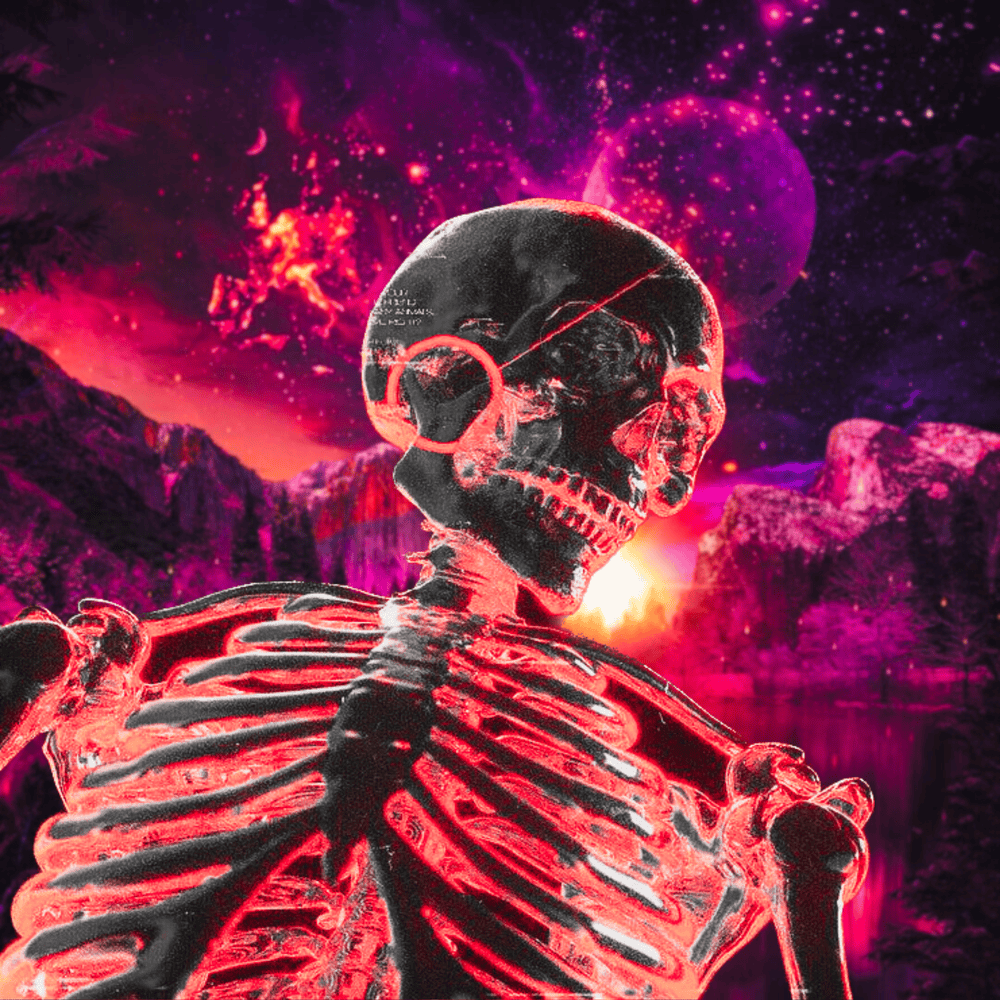 Cover image for SWEET SKELETONS