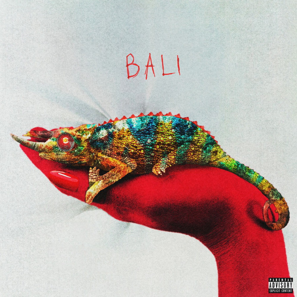 Album cover art for "BALI" by 2K Sports