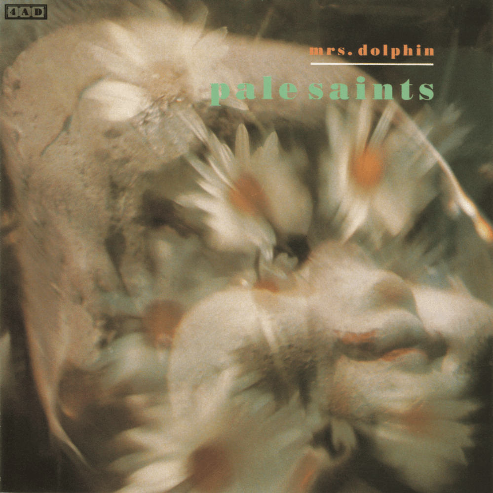 Cover image for Mrs. Dolphin