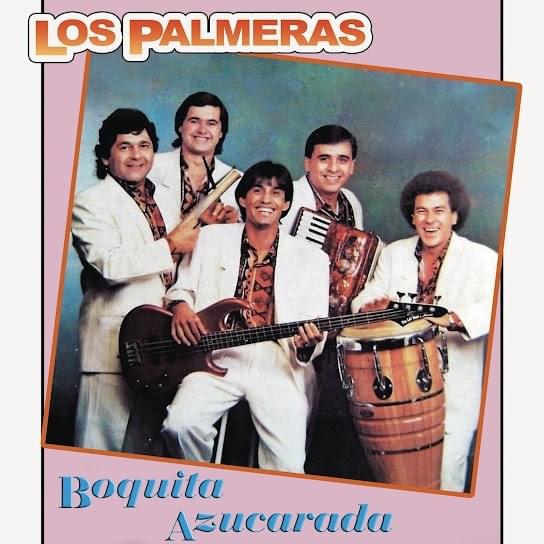 La Chica del Valle by Los Palmeras