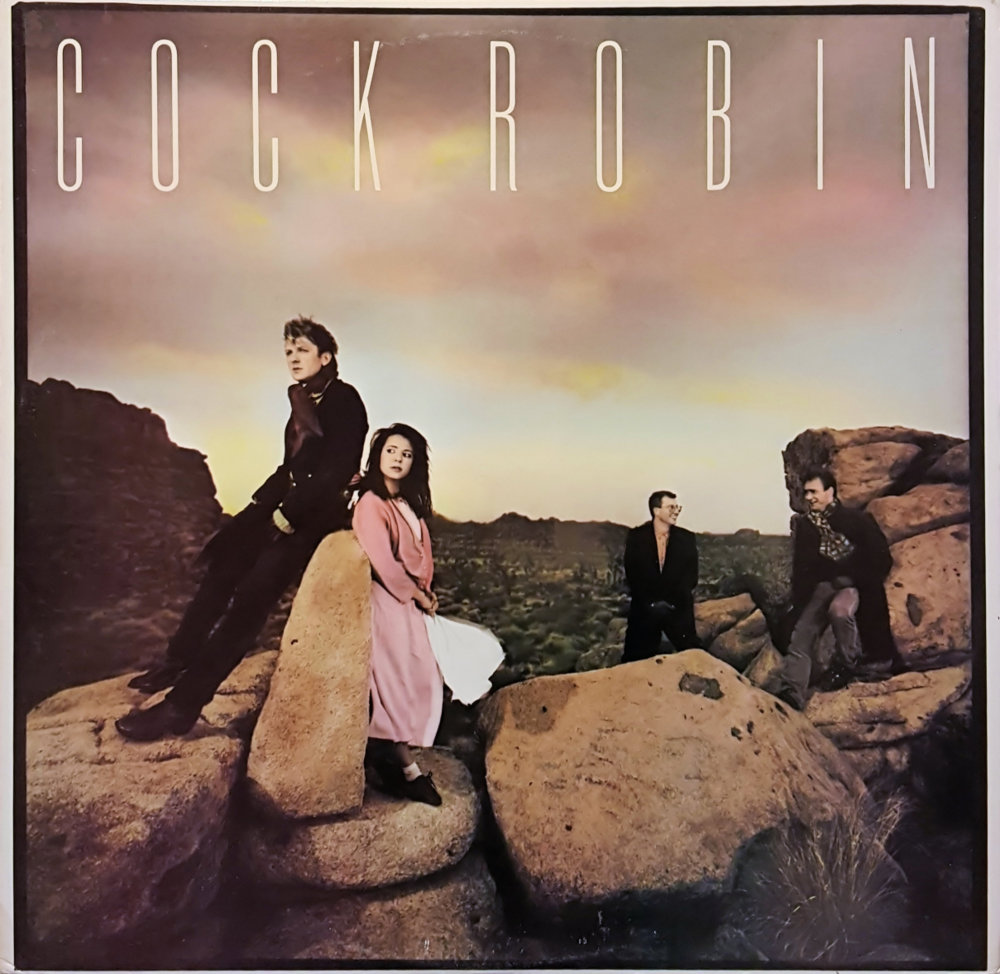 The Promise You Made by Cock Robin