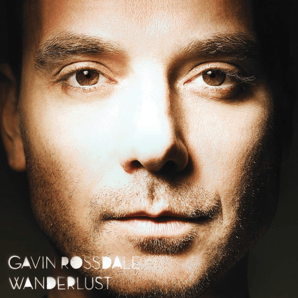 The Skin I’m In by Gavin Rossdale
