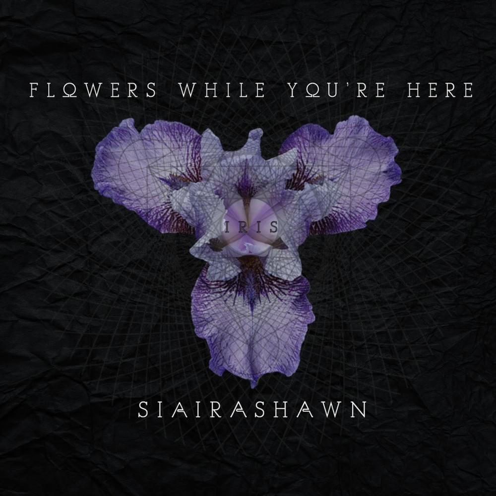 Cover image for Flowers While You’re Here: Iris