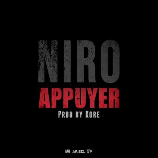 Album cover art for "Appuyer" by Niro