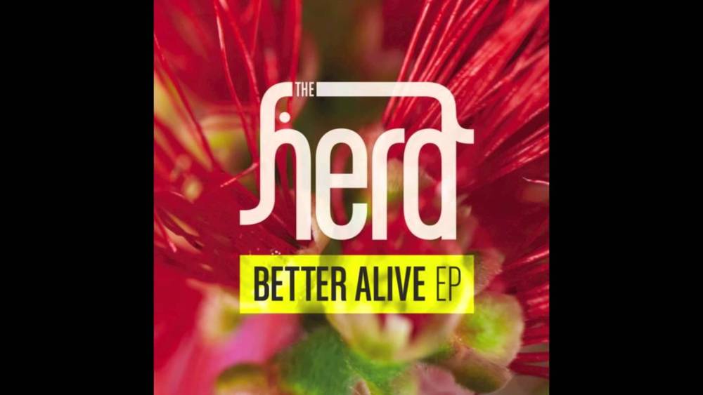 Album cover art for "Same Song" by The Herd