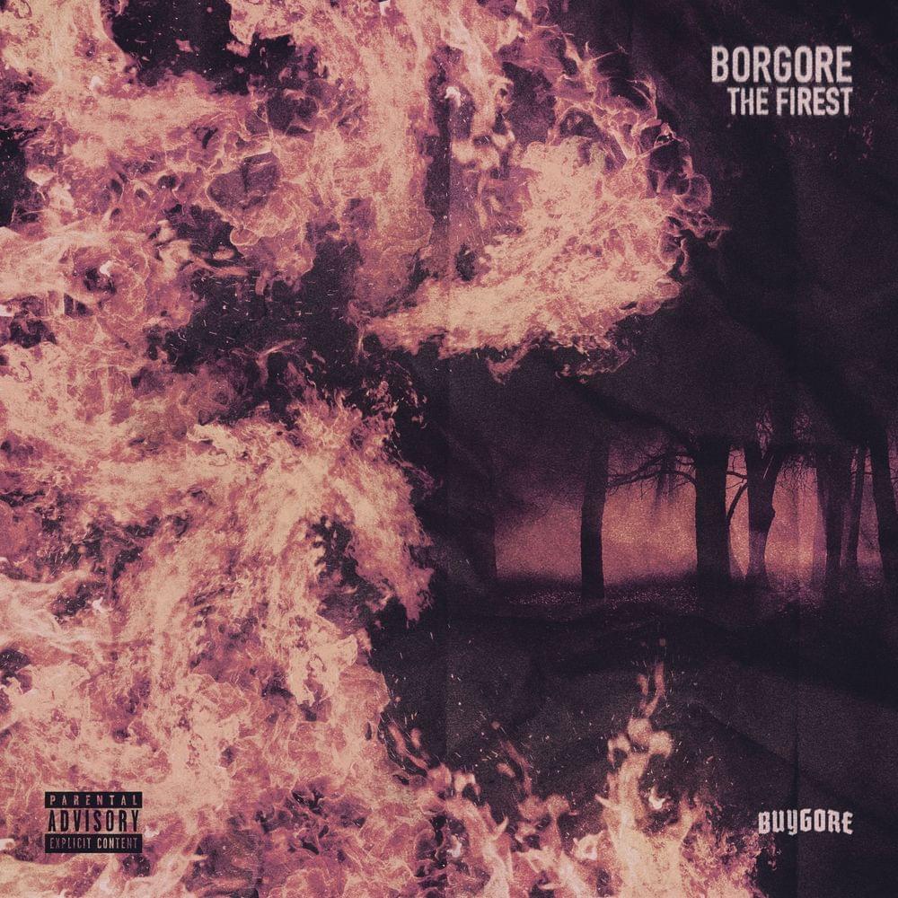 Cover image for The Firest