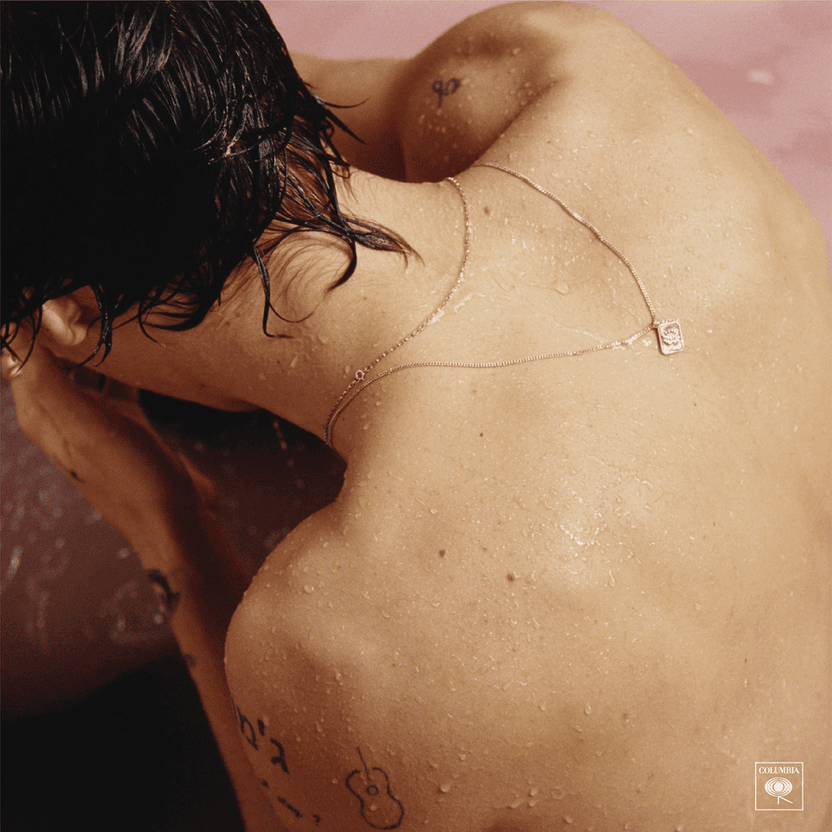 Cover image for Harry Styles - Harry Styles (Nederlandse Vertaling)