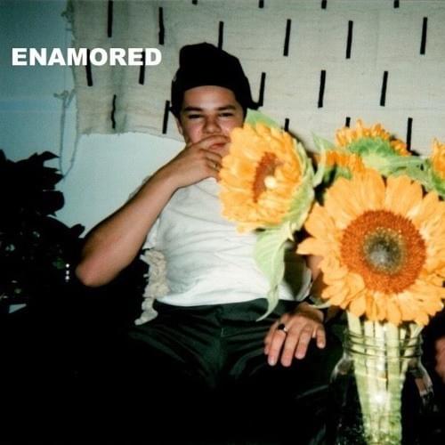 Cover image for Enamored