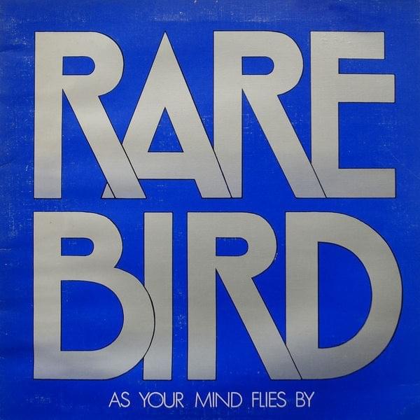 Down On The Floor by Rare Bird