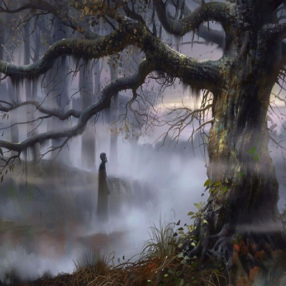 Album cover art for "Sumpfblüte" by Einsigartig