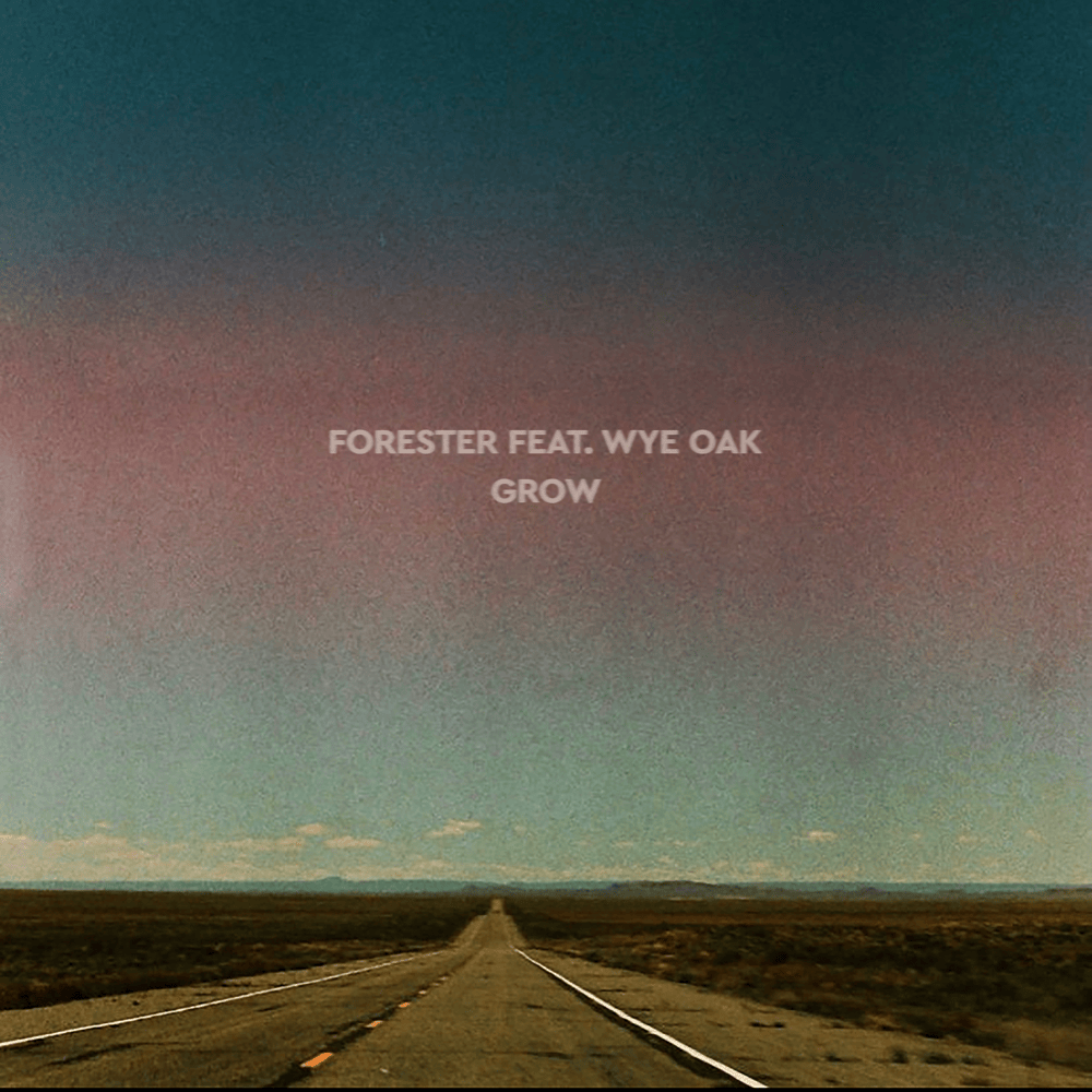 Album cover art for "Grow" by Forester & Wye Oak