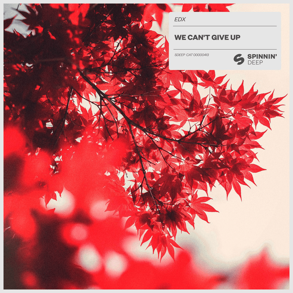 We Can’t Give Up by EDX