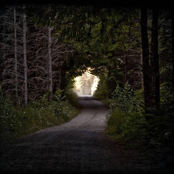 Wake Up Gladiator by The Flashbulb