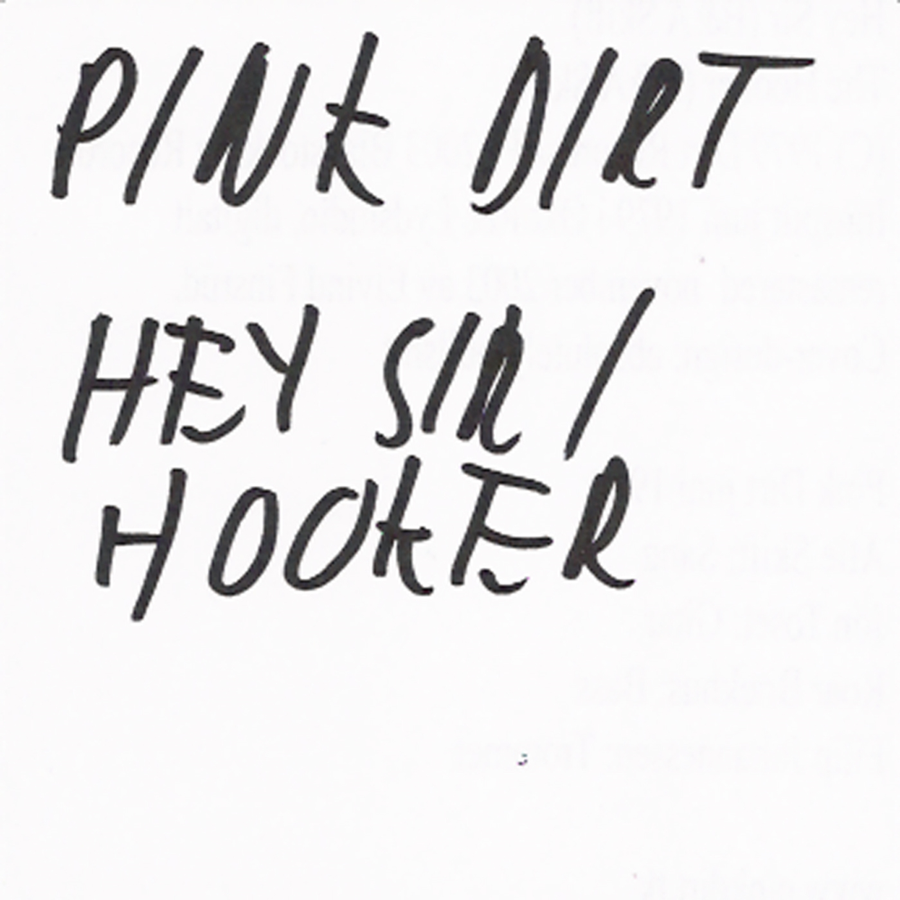 Album cover art for "Hey Sir" by Pink Dirt