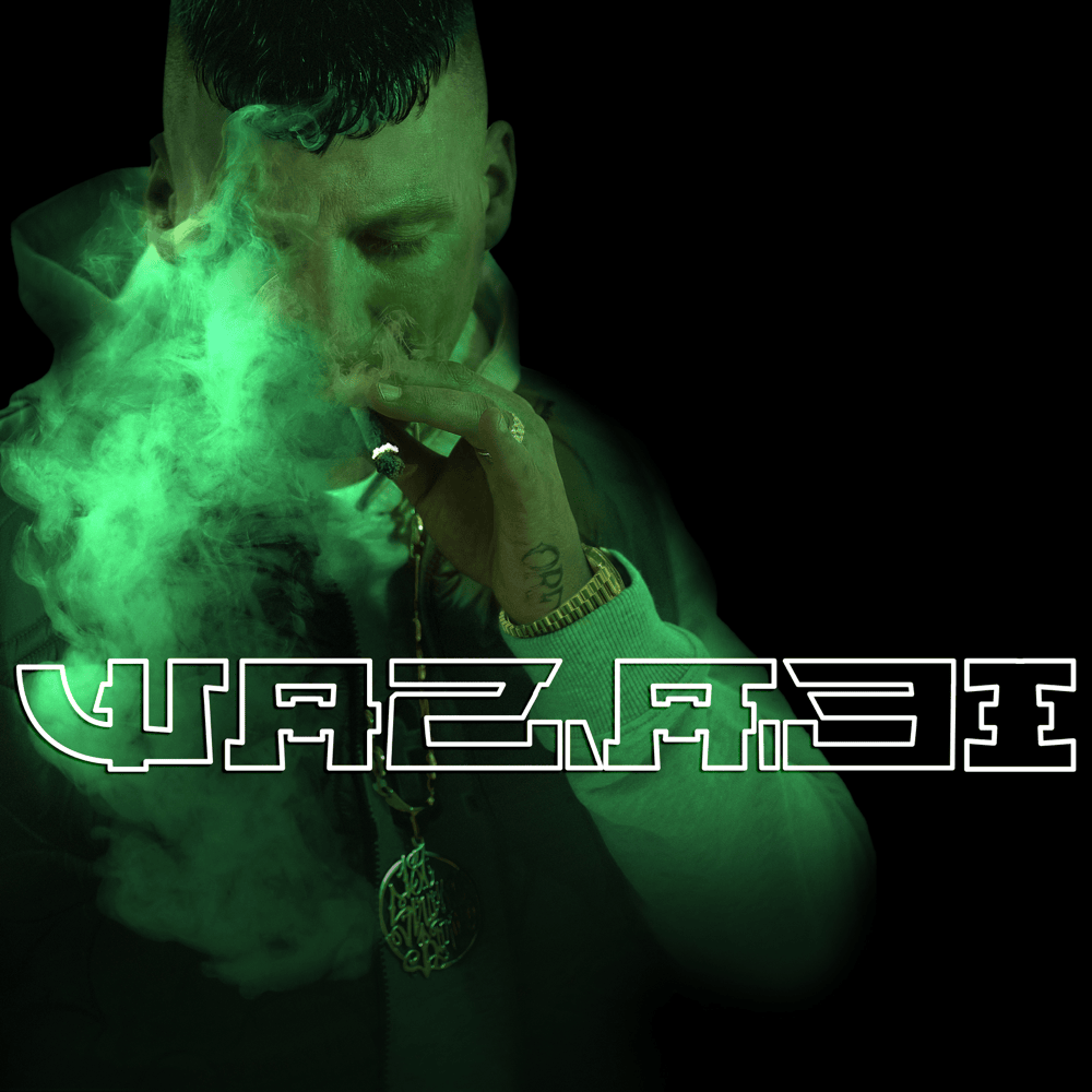 Cover image for WAZABI