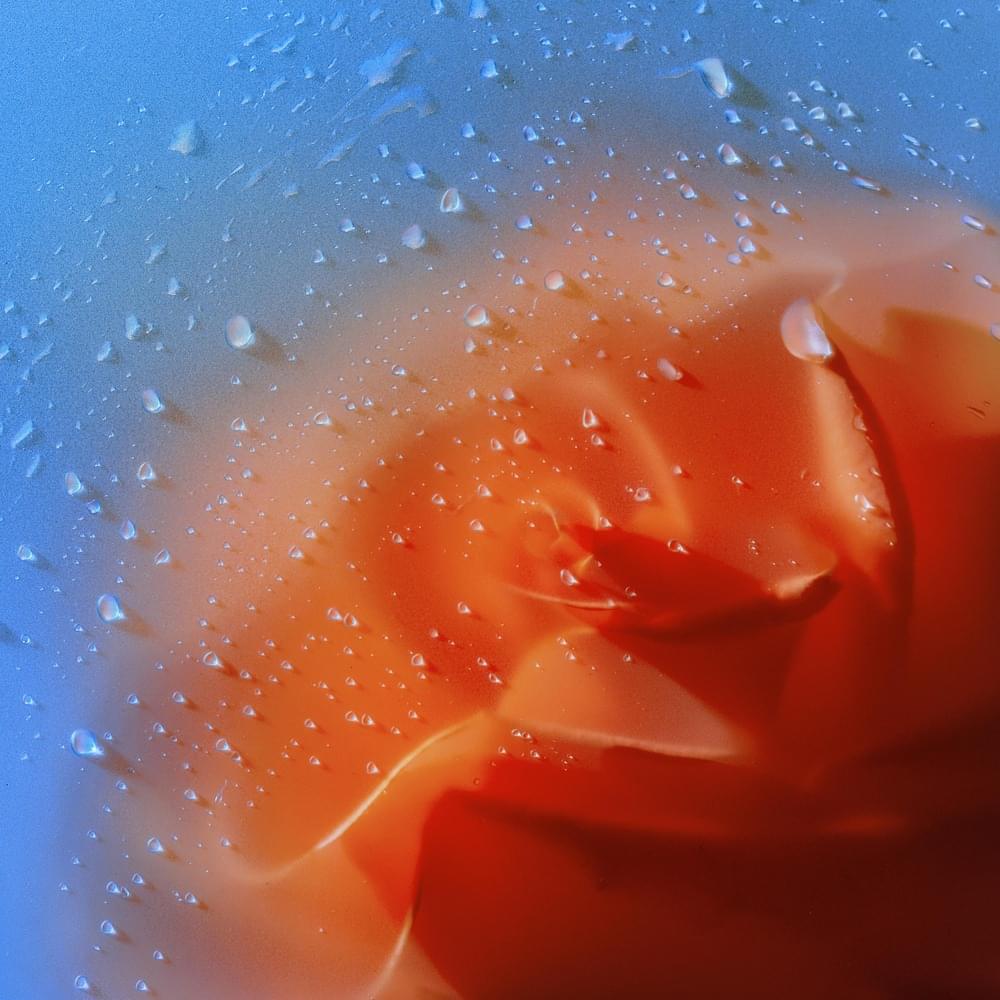 Album cover art for "Delphinium Blue" by Cassandra Jenkins