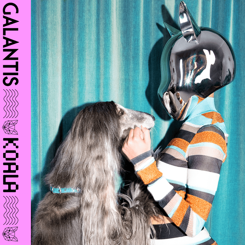 Album cover art for "Koala" by Galantis