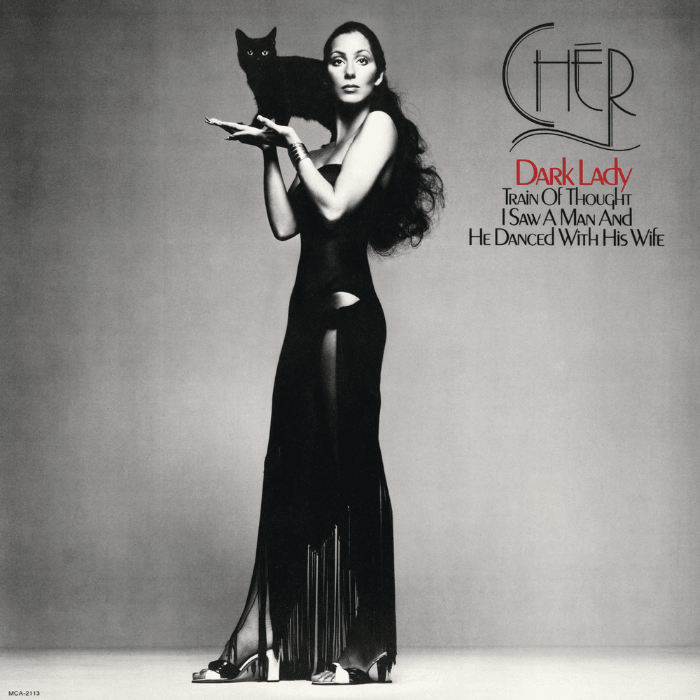Album cover art for "Train of Thought" by Cher