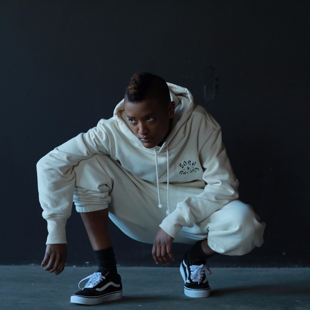Cover image for Syd