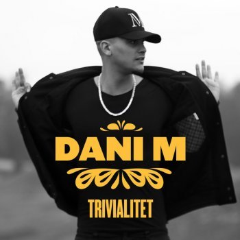 Album cover art for "Trivialitet" by Dani M