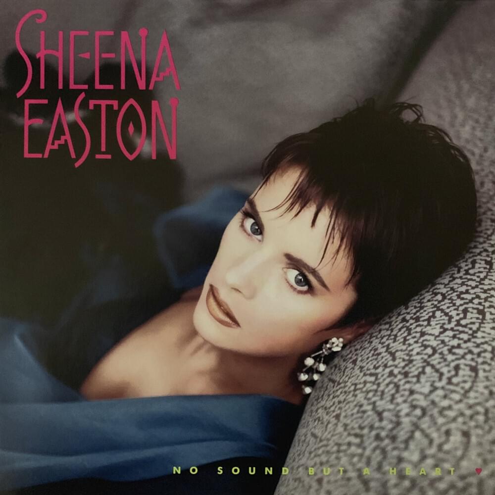 Cover image for No Sound but a Heart