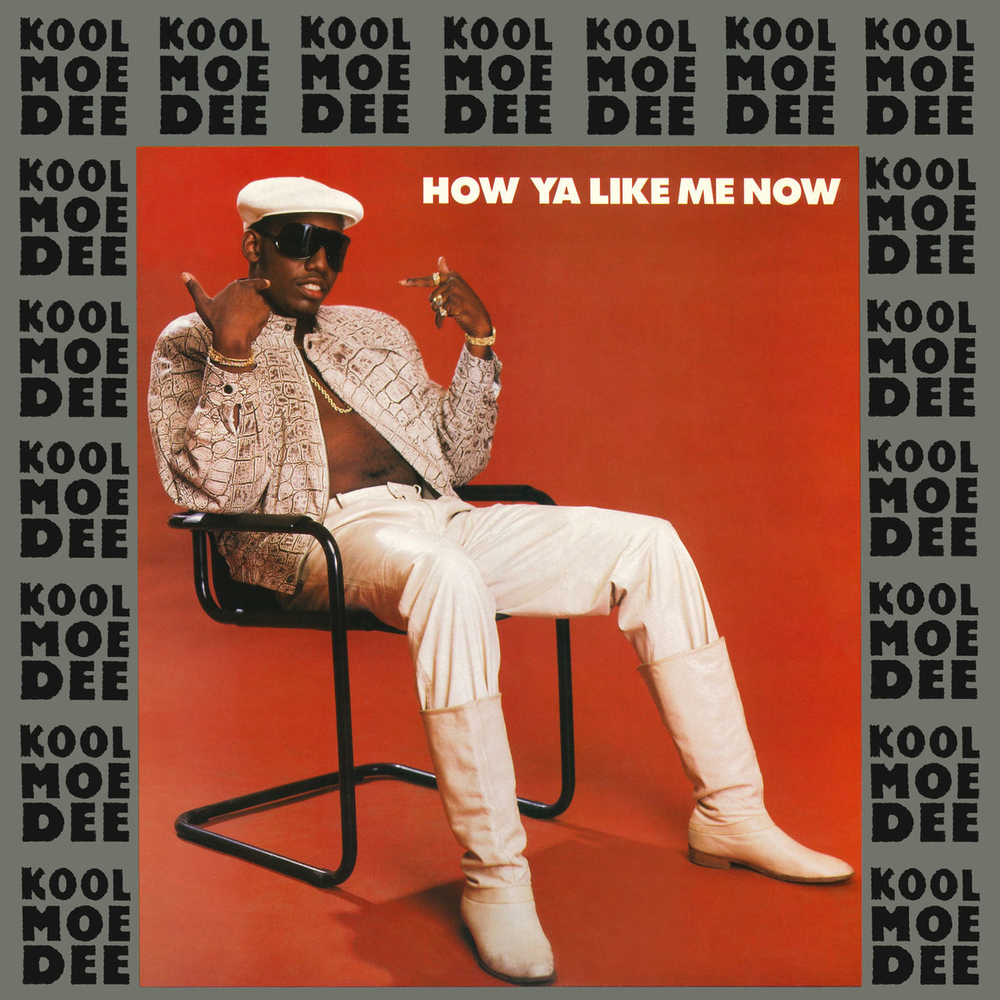 How Ya Like Me Now by Kool Moe Dee