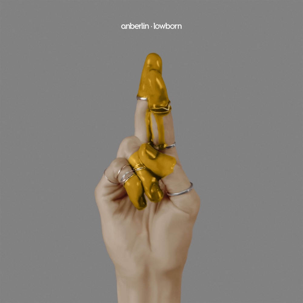 Cover image for Lowborn