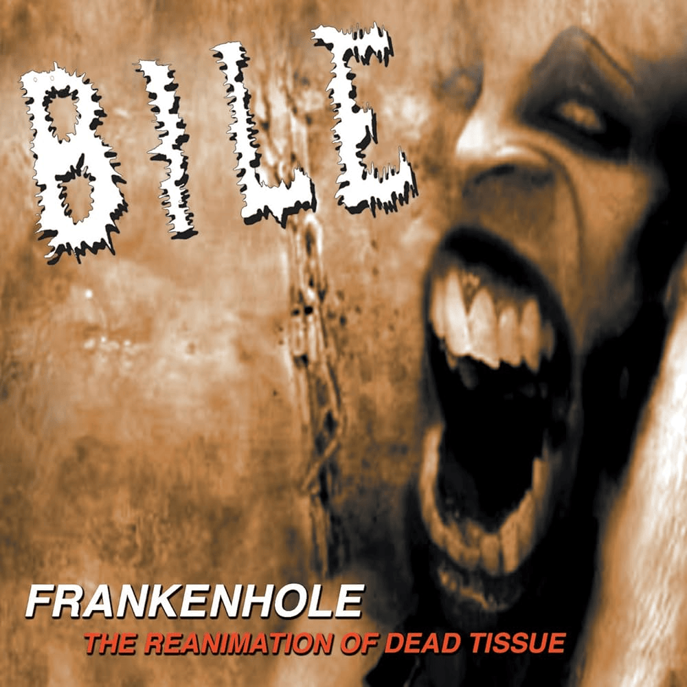Cover image for Frankenhole