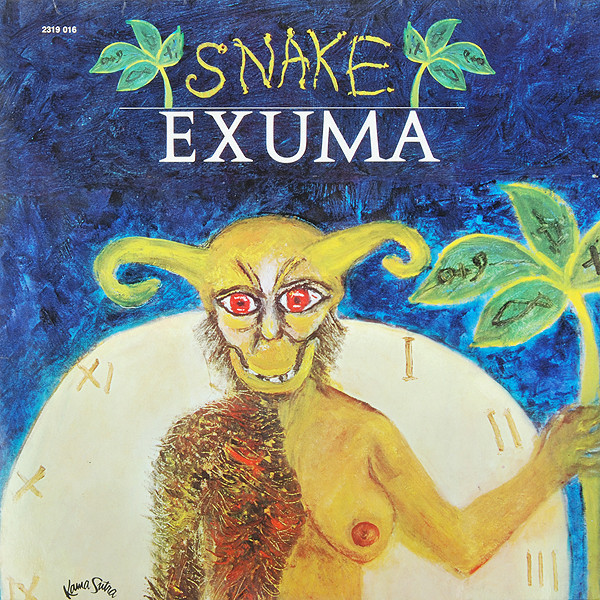 Cover image for Snake